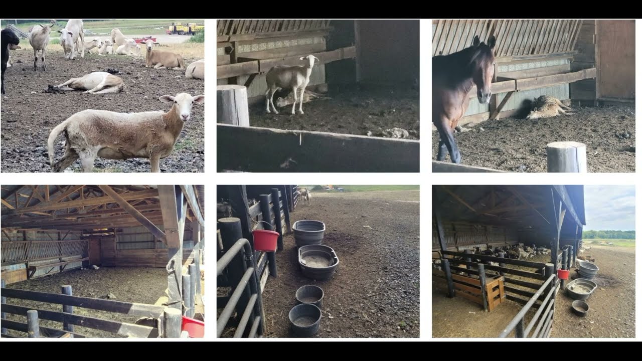 Ford Property Stage Road - The Pictures Speak For Themselves