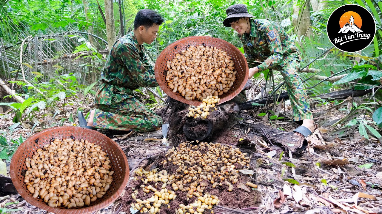 BẤT NGỜ TRÚNG LỚN ĐUÔNG DỪA | TÌM KIẾM MÓN ĐẶC SẢN TRONG RỪNG - Bùi Văn Trọng