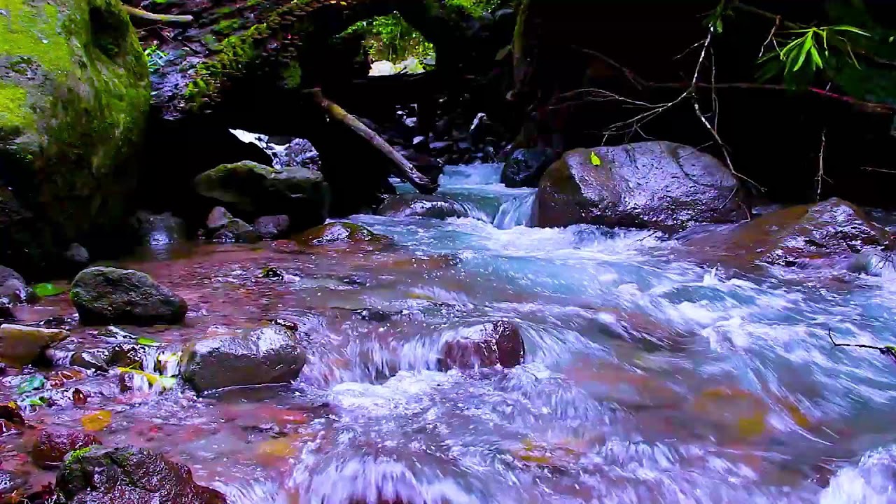 Fall Asleep Fast with Mountain Stream in Forest | 8 Hours Relaxing Water White Noise for Sleep