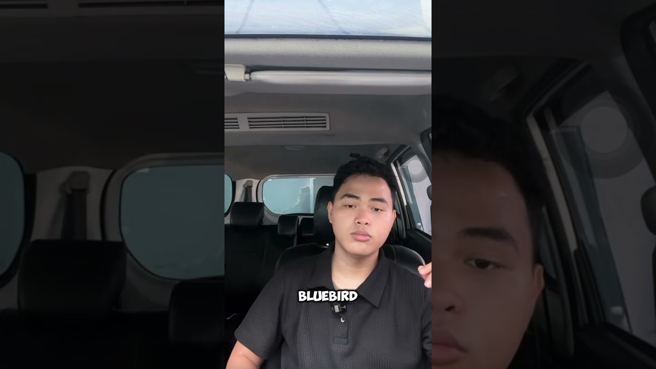 CZY WARTO KUPIĆ SAMOCH&Oacute;D BLUEBIRD EX-TAXI??? #bluebird #usedcar #avanza