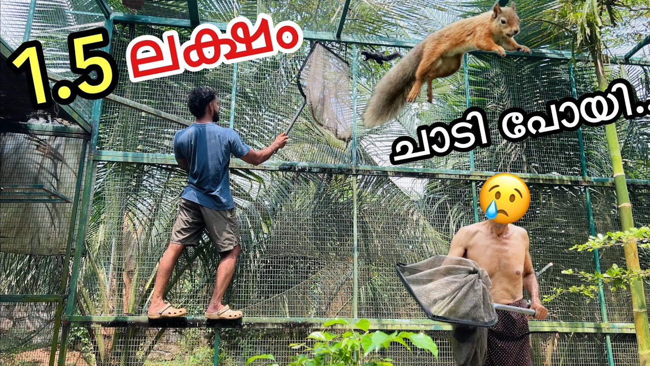 💥Our squirrel jumped away | Backyard FOREST | Fishing Freaks