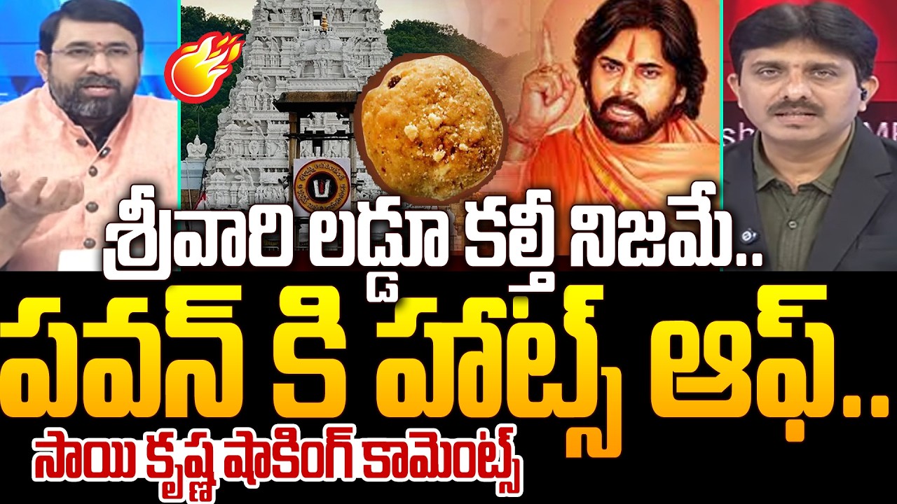 Senior Journalist Sai Krishna Shocking Comments on TTD Laddu : శ్రీవారి లడ్డూ కల్తీ నిజమే.. | 99TV
