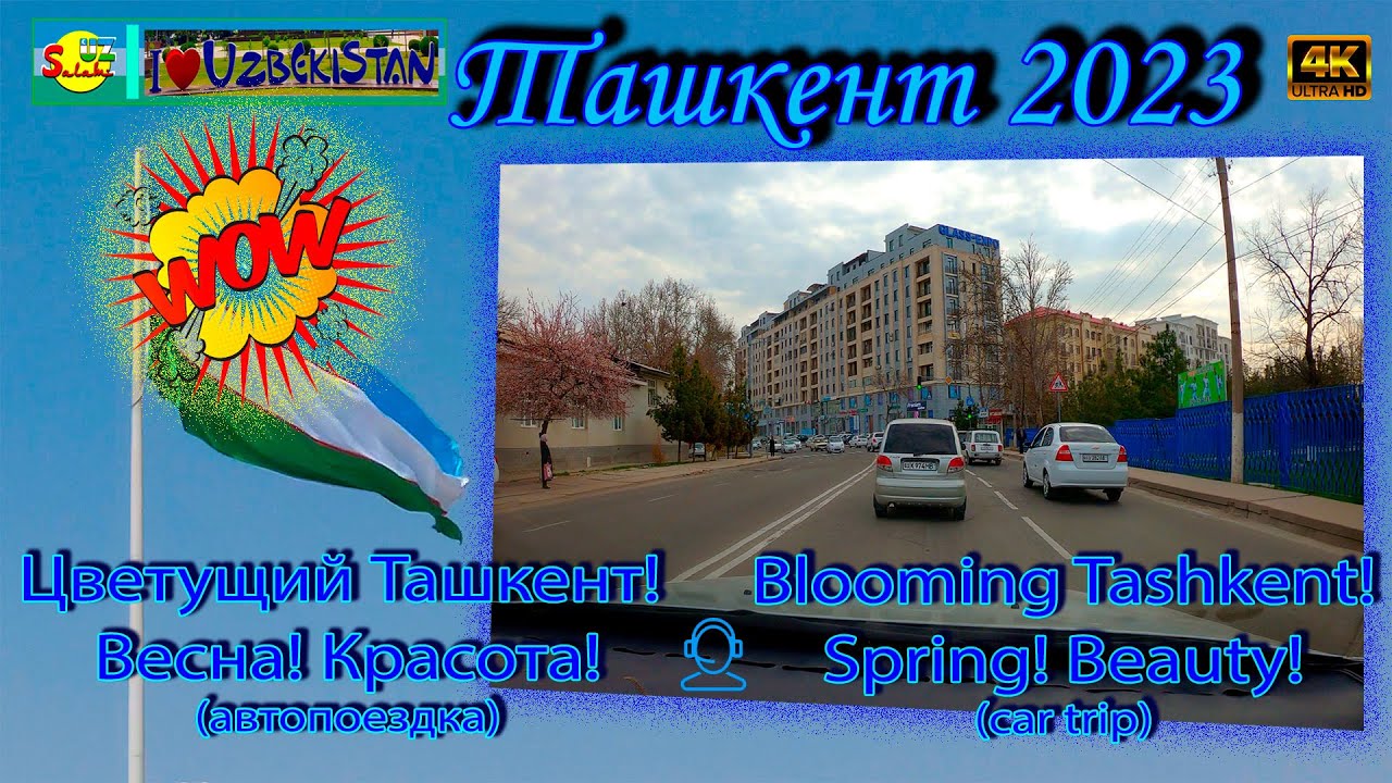 Цветущий Ташкент 2023: Обзор города за рулем | Blooming Tashkent Drive [4K] 🚗
