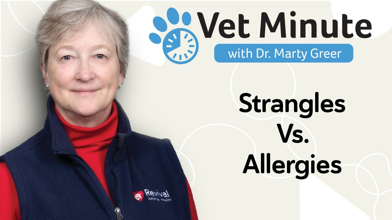 Puppy Strangles vs Allergies: How to Tell the Difference in Your Puppy
