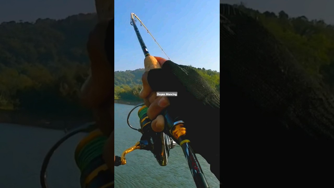 Lengkungan Joran Relix Cangkek Alap Alap saat strike !! #relixnusantara #relixcangkek