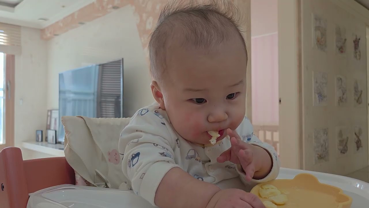 [이유식] 후기 25일차(Day 294) + 치즈&치즈까까