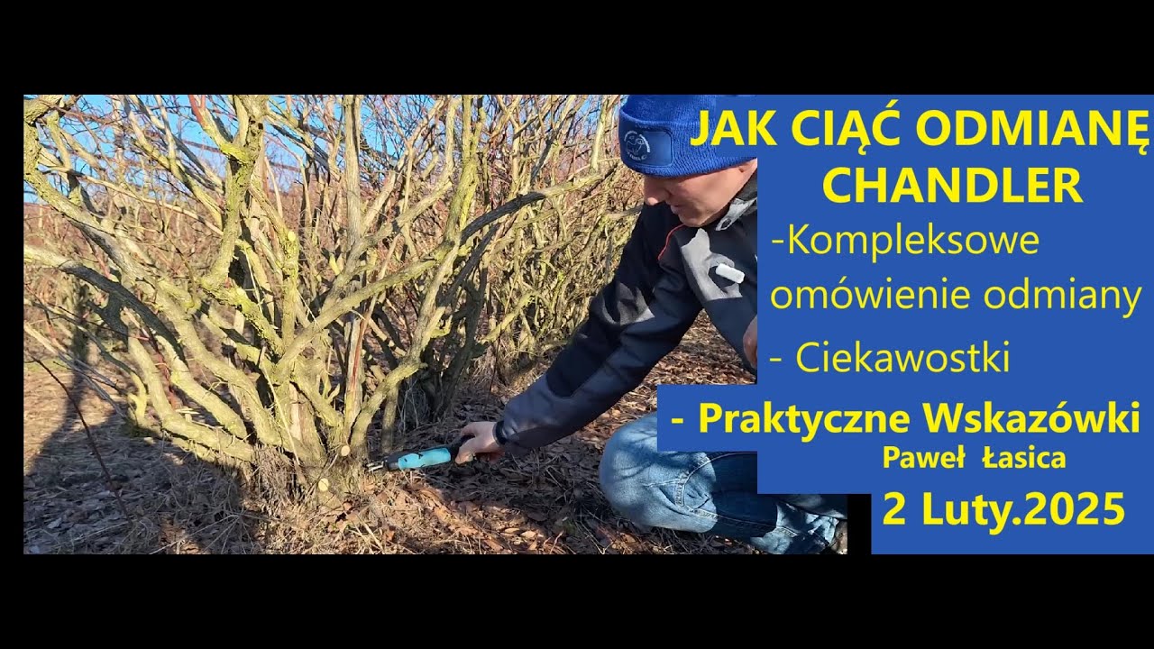 Kompleksowe Cięcie 13 Letniego CHANDLERA 3 Luty 2025
