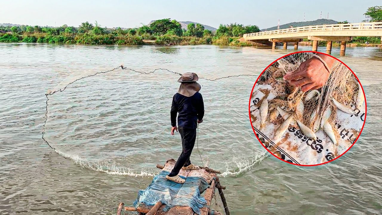 Fishing Net 2024 : Village men Fishing using cast net on stream water