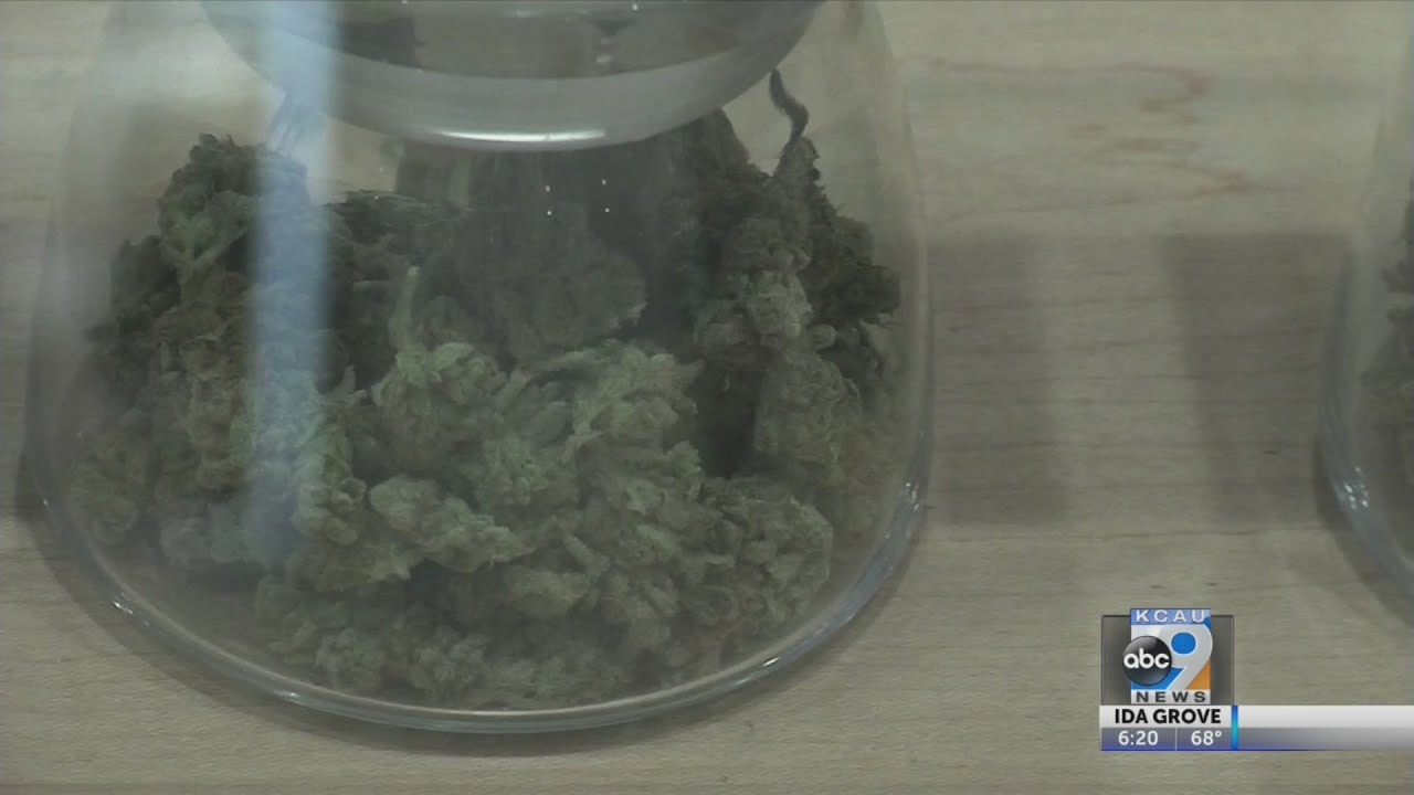Study: Potent Weed Ups Risk of Anxiety