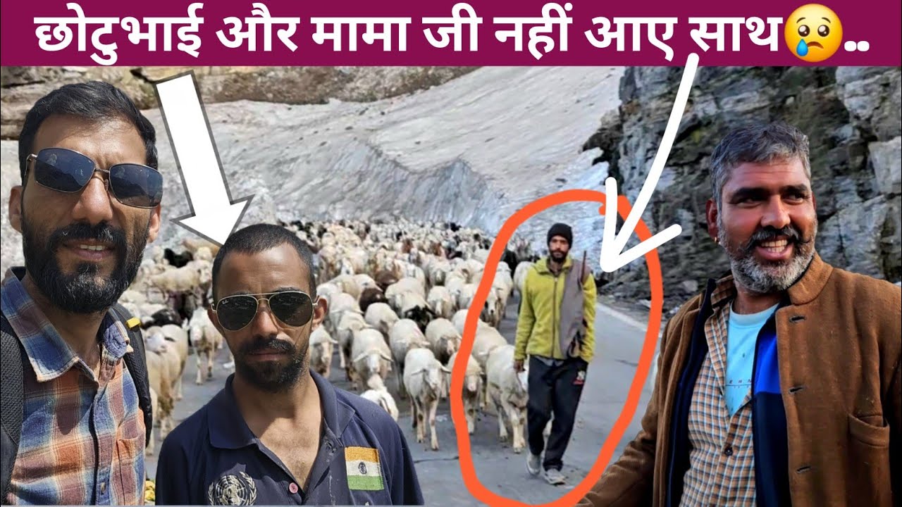 Nomadic Gujjar Shepherd's Migration..Rohtang Pass की ओर अकेले ही निकले आज 😳 Trekking with Nomadic 