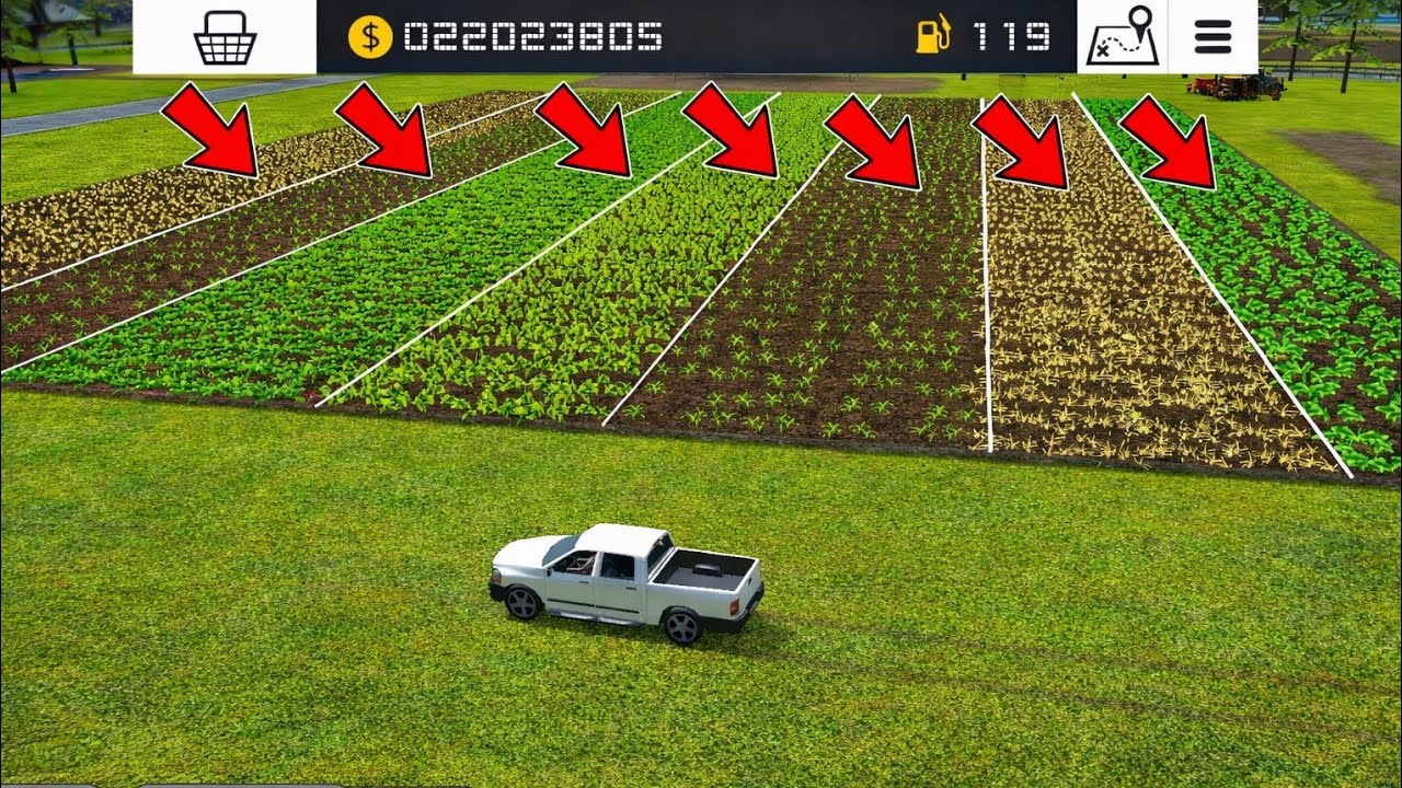Fs 16 Sowing Mix Crops In One Field : Fs16 Gameplay | Farming Simulator 16 Timelapse #fs16 