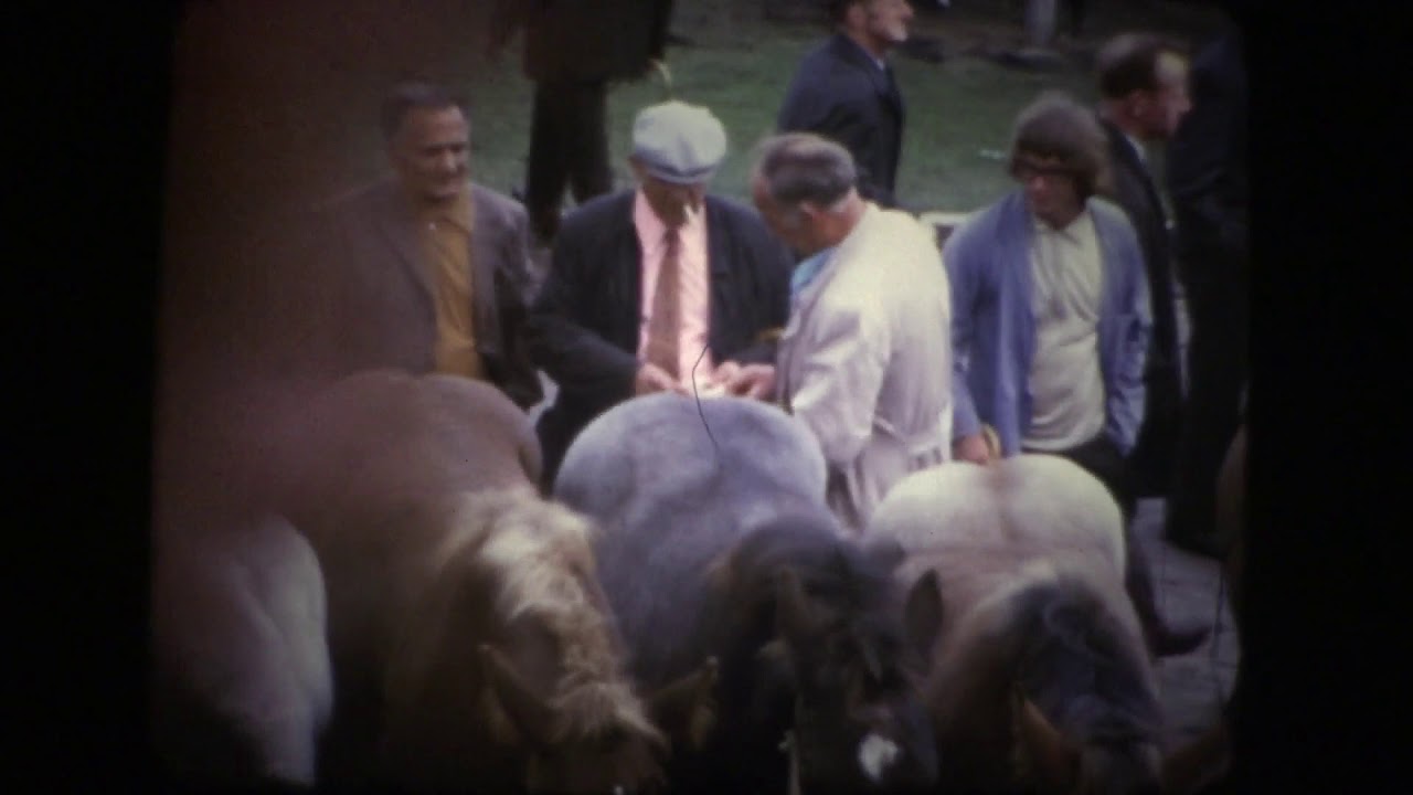 Films Hans Smidt Rolde