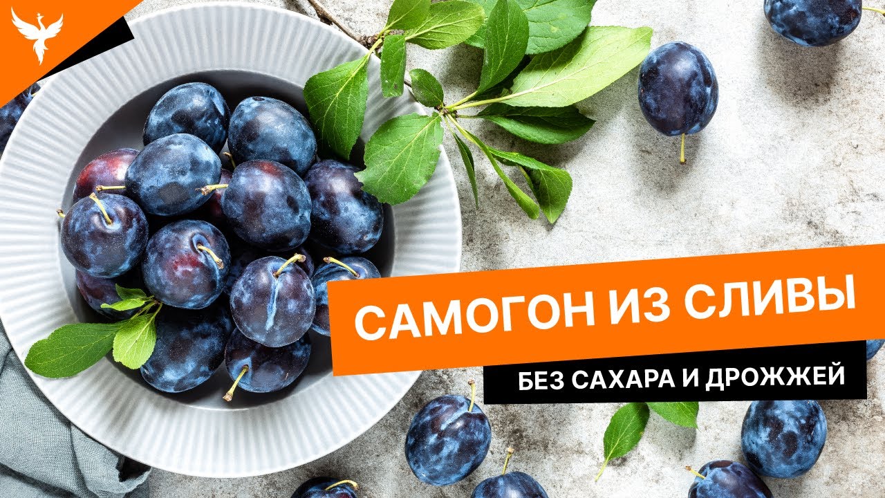 сДЖ 7: Самогон из сливы без сахара и дрожжей