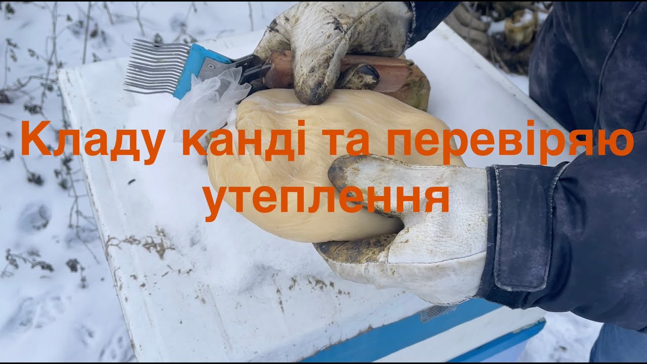 Кладу канді та перевіряю утеплення/дуже активна сімʼя / клуби у вуликах ППС/примусив сісти правильно