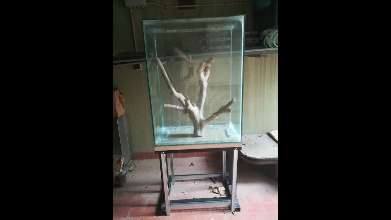 ACUARIO VERTICAL PARTE 2