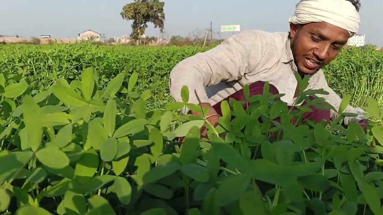  साफ सुथरी कॉमेडी शादी के लिए लेकर खेल सब्सक्राइब करें भाई सपोर्ट करें भाई गोविंद दूधिया #popular 