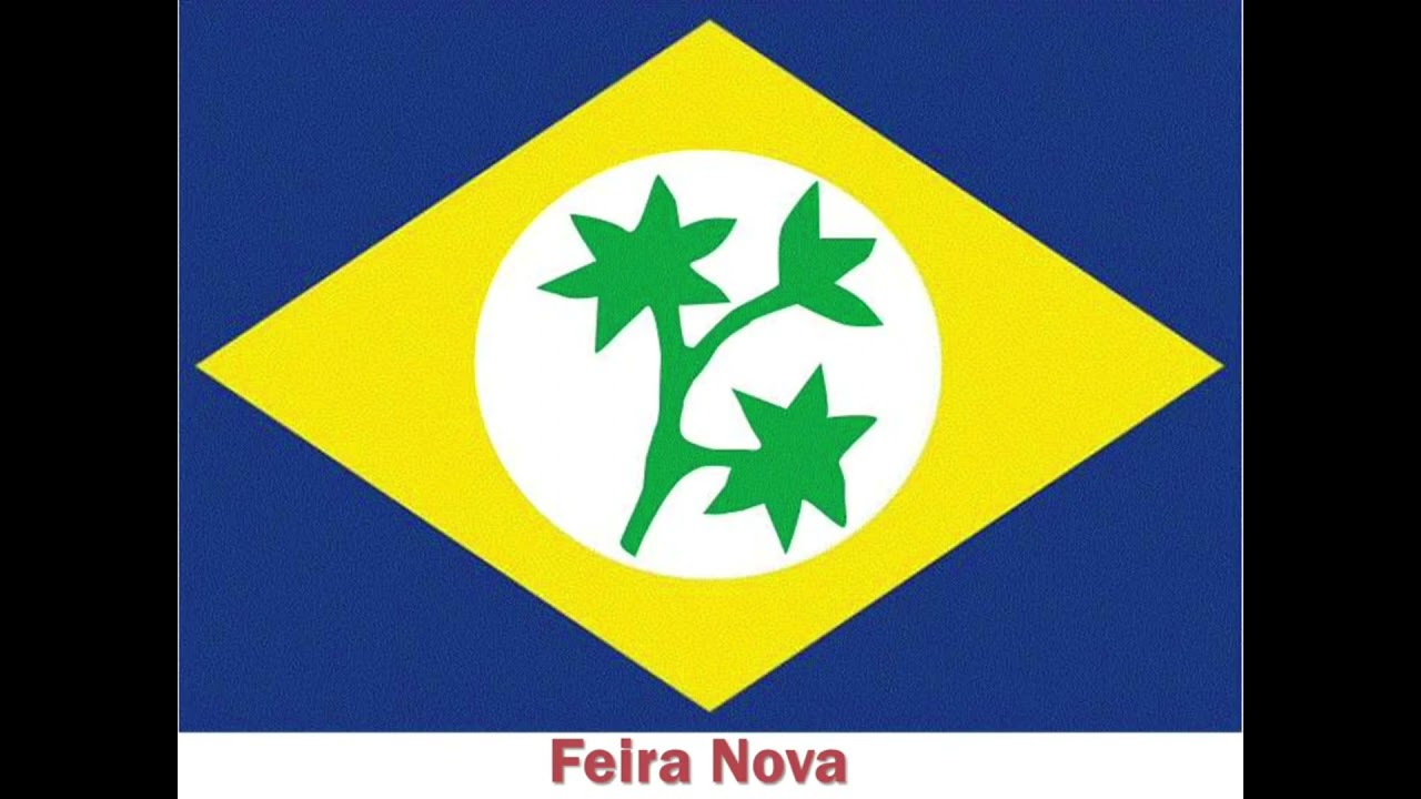 Bandeira de todas as cidades do estado de Pernambuco (PE)