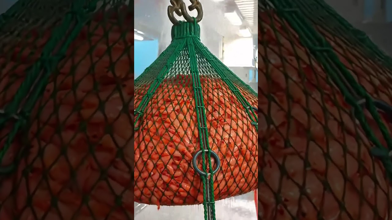 Headline: Giant Shrimp Trawler: The Ultimate Fishing Machine You&rsquo;ve Never Seen Before