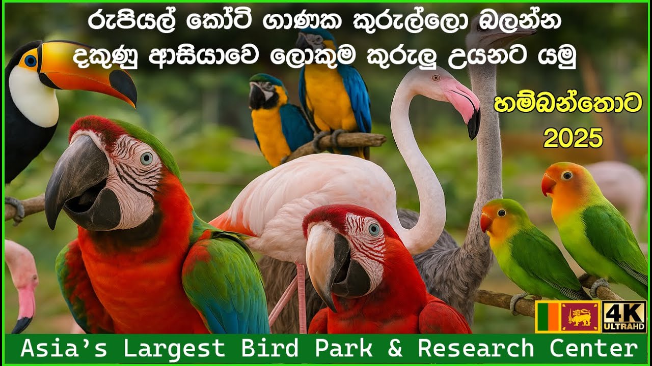 Birds Park Hambantota Sri Lanka Asia's Largest Birds Park and Research Center දකුණු ආසියාවේ ලොකුම එක
