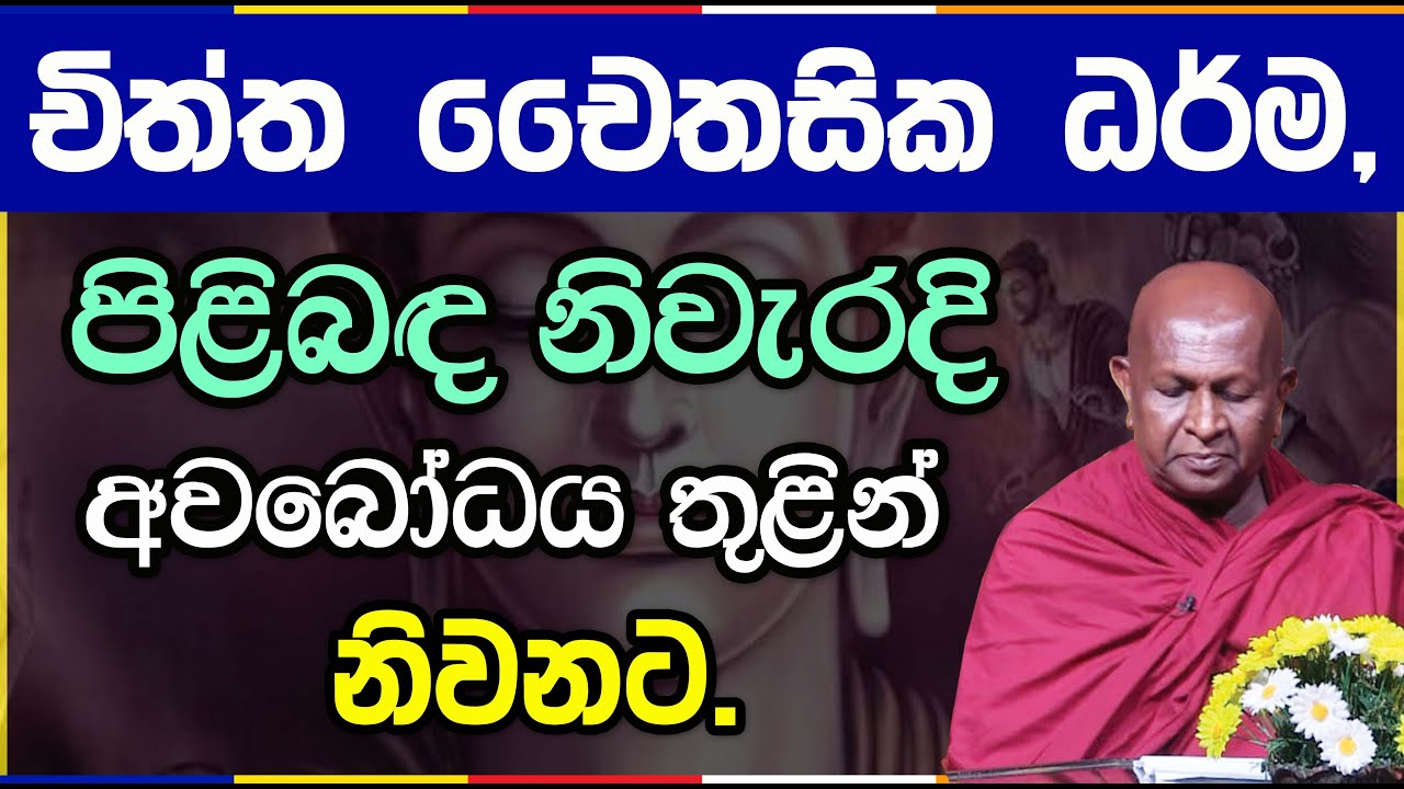 චිත්ත චෛතසික රූප ධර්මයන්ගෙන් සක්කාය දිට්ඨිය දුරු කරගමු | පූජ්‍ය තපෝවනයේ අරියධජ හිමි | 1007