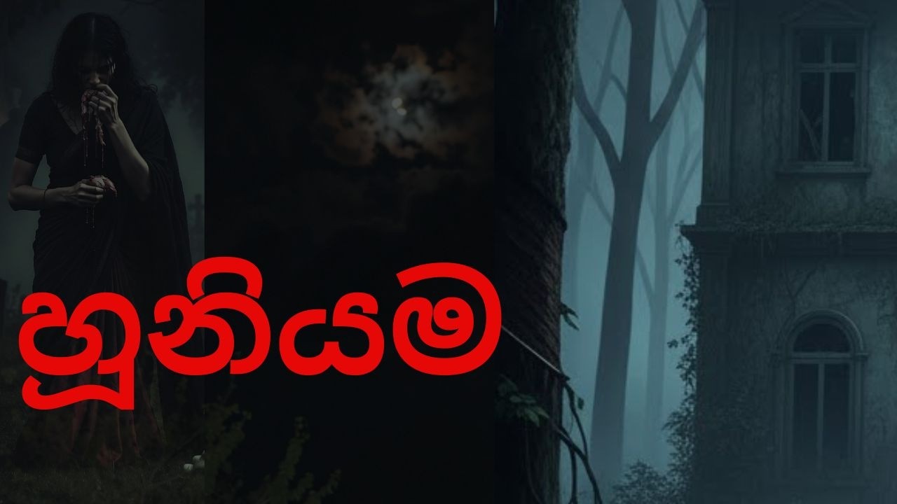 හූනියම /Sinhala Holman Katha / Holman video 478