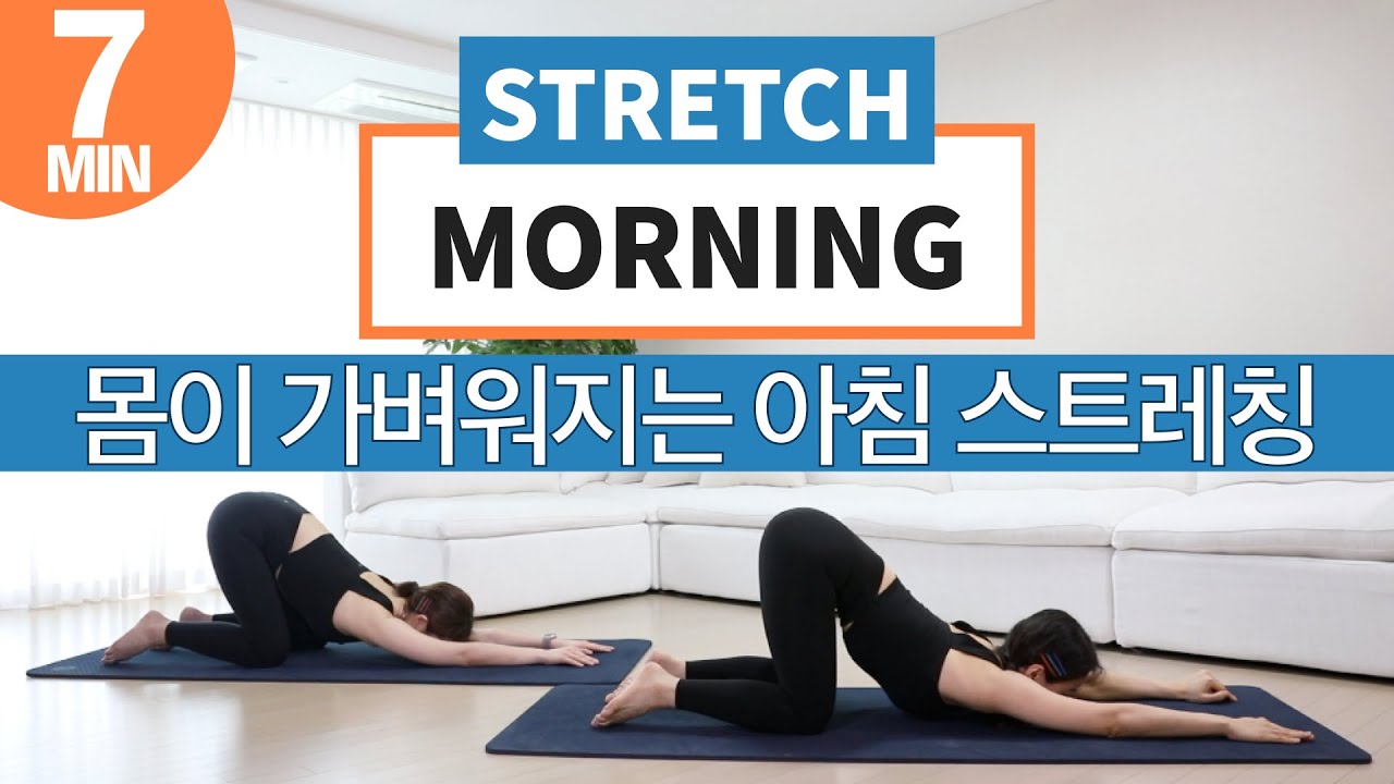 매일 아침이 바뀌는 굿모닝 스트레칭 뻑적지근한 몸이 가벼워지는 마법의 7분 전신 스트레칭 (눈뜨자마자 따라하는 스트레칭 · 컨디션이 올라가는 스트레칭 · 공복 운동 전 스트레칭)