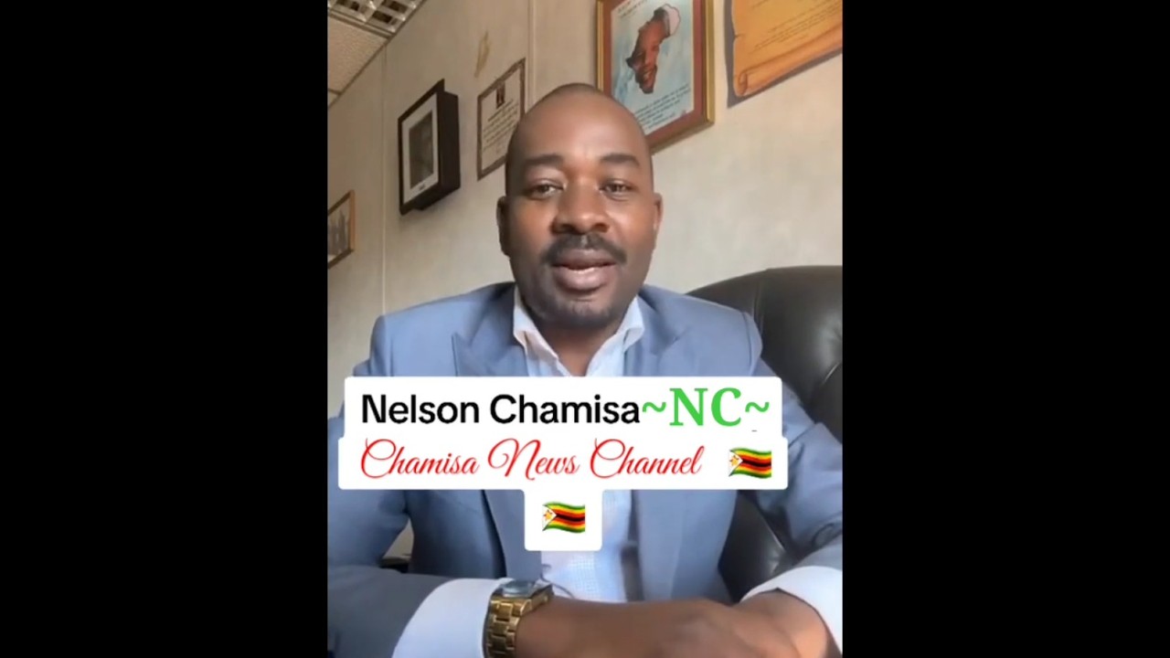 Nelson Chamisa #newdawn #2025goals #newleadership #godisinit #president