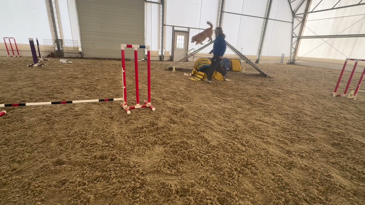 013126 a frame