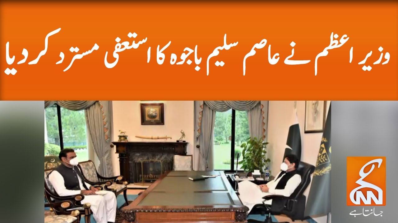 Asim Saleem Bajwa Meets Prime Minister Imran Khan