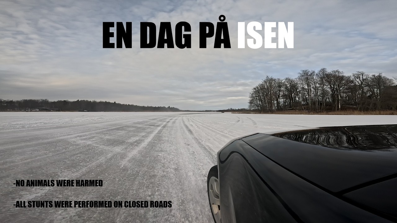 Släktträff