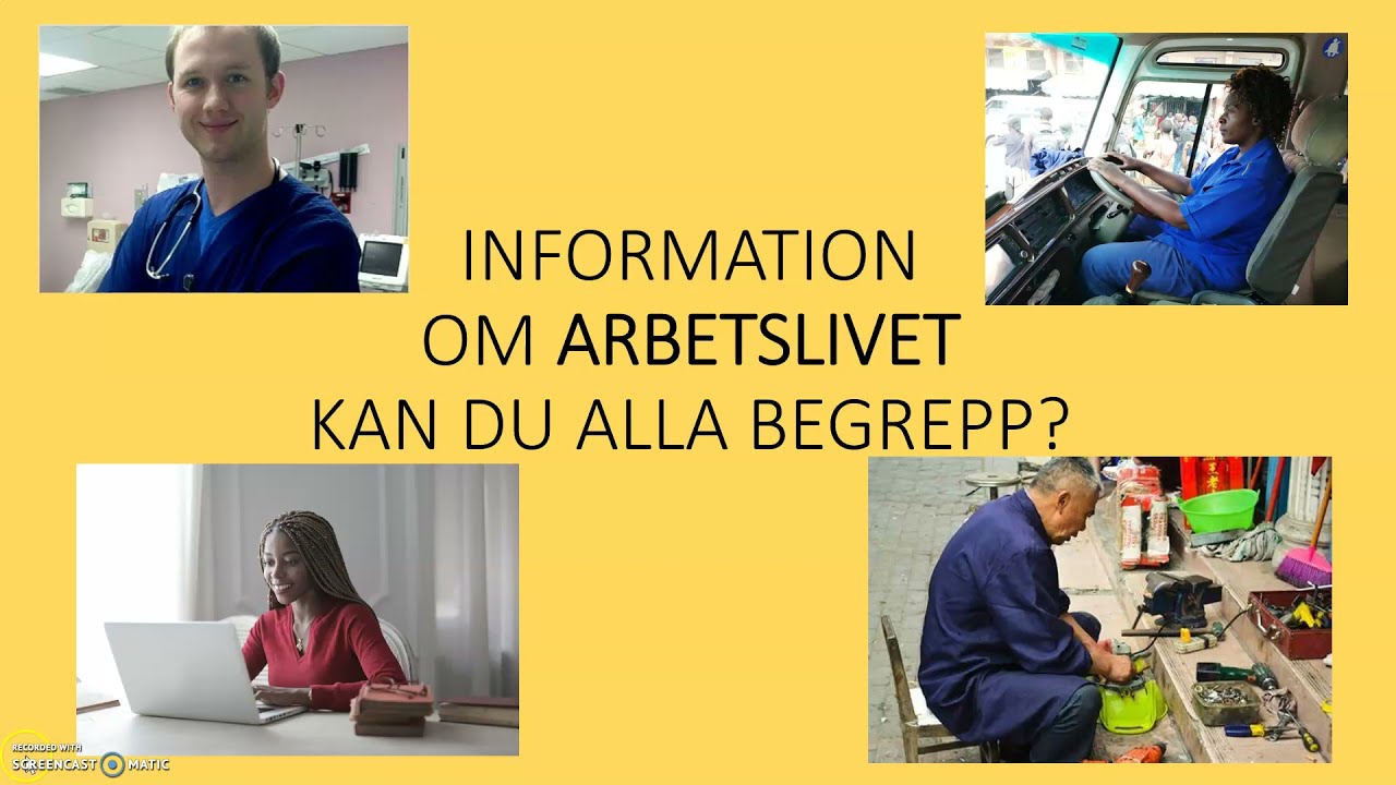 sfigunilla Information om arbetslivet. CD Kan du alla begrepp?