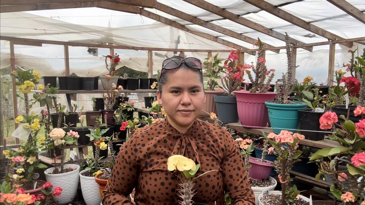 Visitando el hermoso jardín de mi amiga magy Juárez 