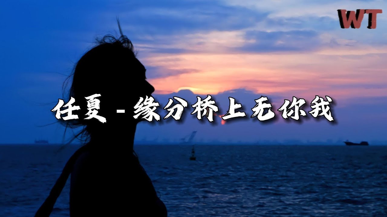 任夏 - 缘分桥上无你我『是否缘分桥上没有你和我，所以今生今世注定要错过。』【动态歌词MV】