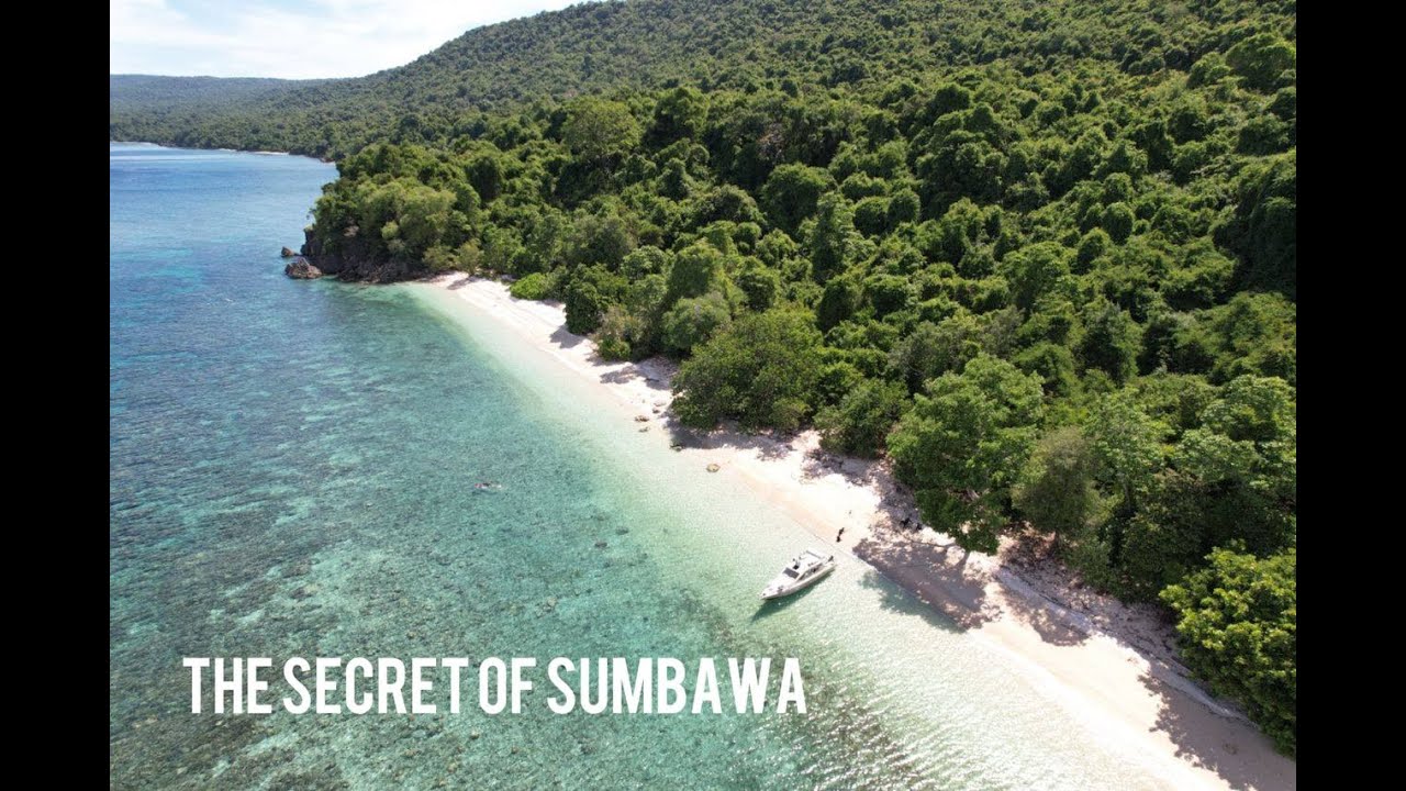 Secret of Sumbawa / wonderful Indonesia / This is Indonesia / Moyo island / Whaleshark