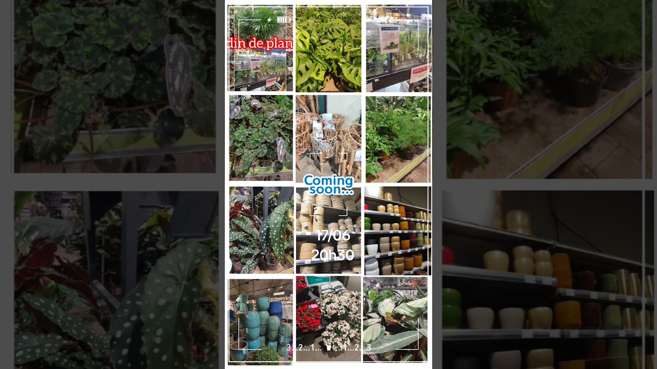 #Coming#soon#Jardin#de#plantes#diverses#prix#SSVLOG