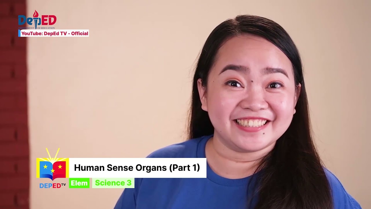 Grade 3 SCIENCE Q2  Eps 01 Human Sense Organs Part 1