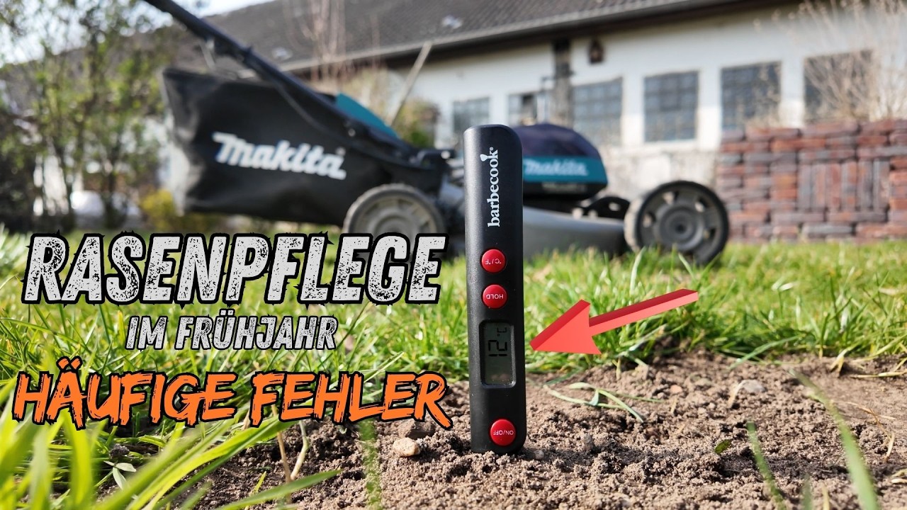 Rasenpflege im Frühjahr |  Anleitung | Update Bermudagras