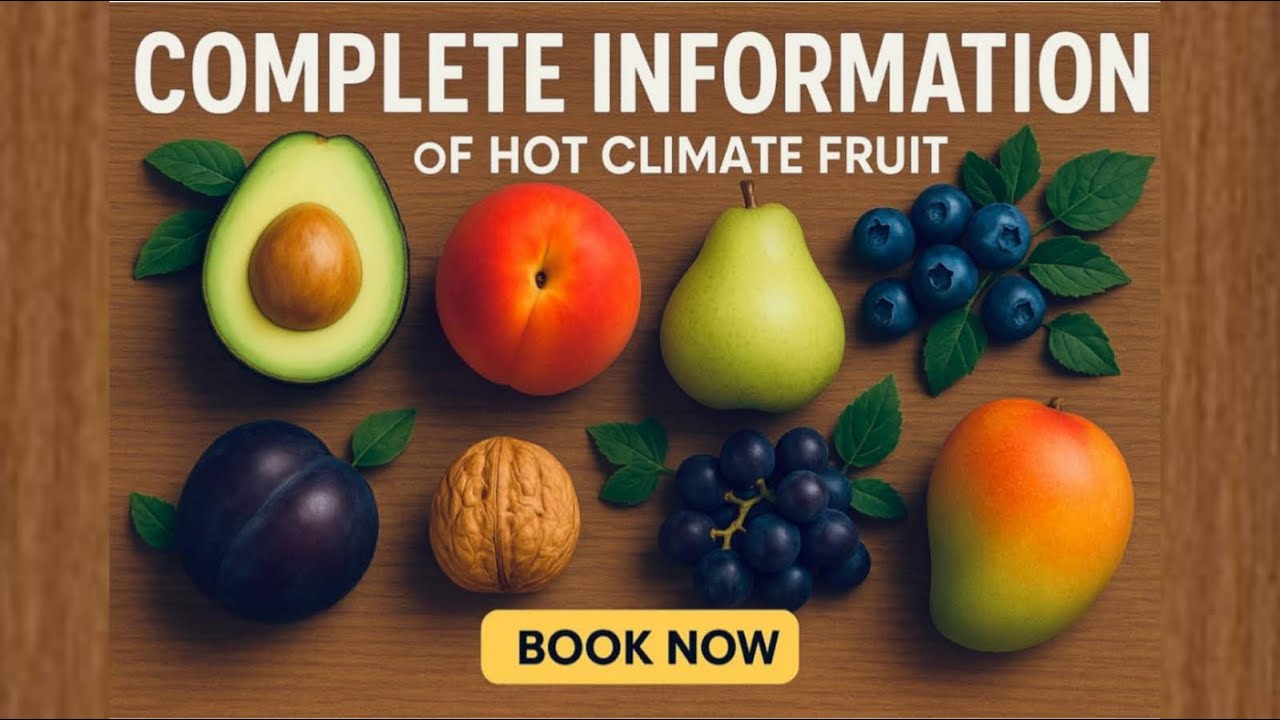 Hot climate fruits full discussion by Retd deputy director horticulture. Book best quality plants 🍎🥑