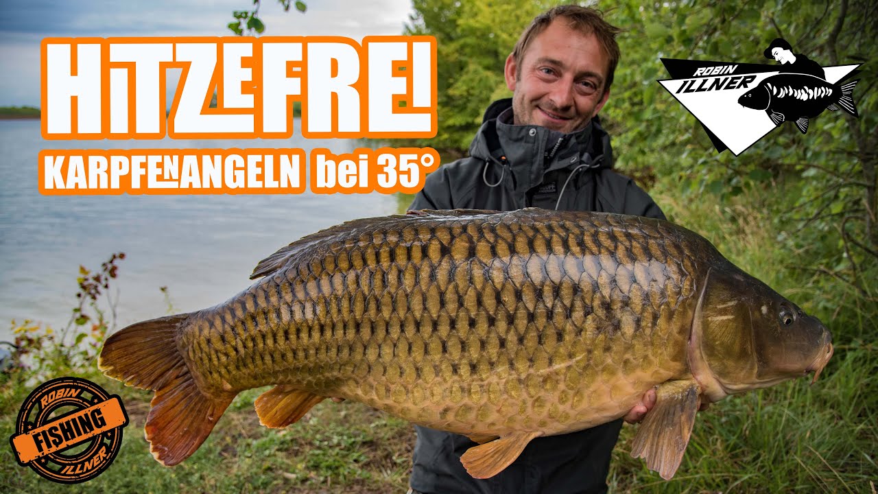 Hitzefrei - Karpfenangeln am Fluss im Hochsommer.  #carp karpfen #angeln #fluss #illner #sommer