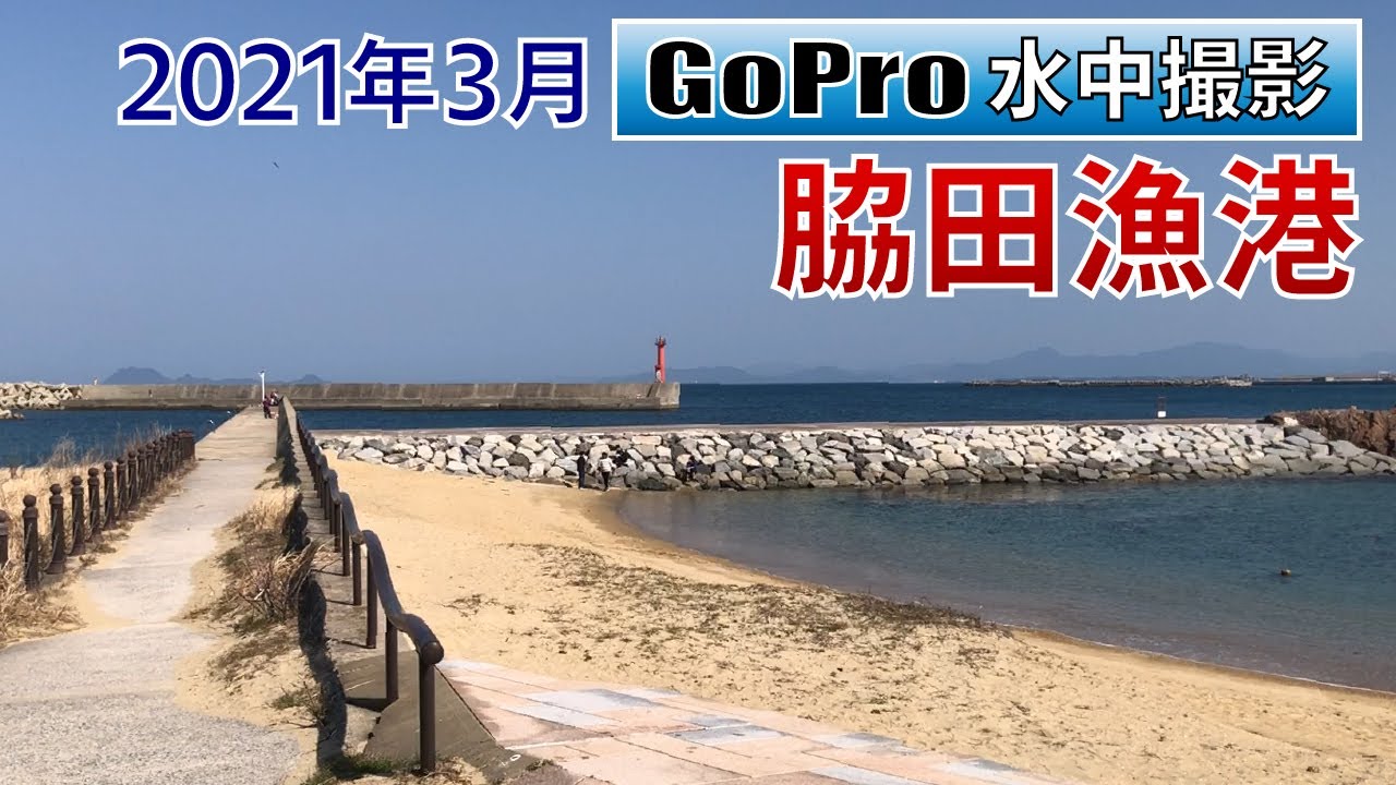 脇田漁港でGoPro沈めてみた