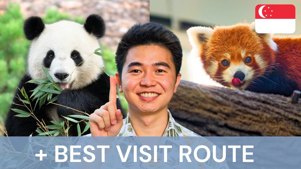 The Ultimate Guide to Singapore River Wonders