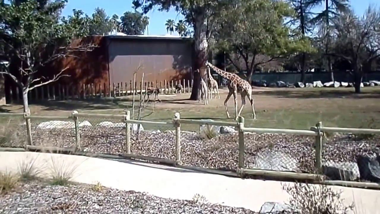 Fresno Chaffee Zoo African Adventures Pt. 3