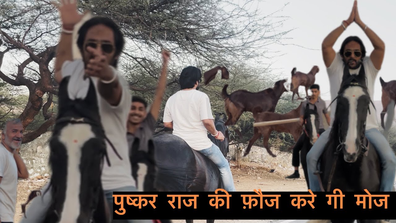 राइड  और हमारी बाते और दर्शन फिर साथ में हो महादेव 😱 और फिर #dada bhai pushkar 