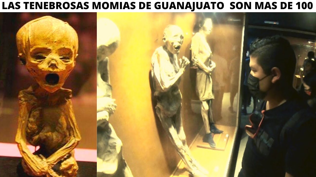 LAS MOMIAS DE GUANAJUATO, QUE HACER? CUANTO COBRAN? COMO LLEGAR? SON MAS DE 100 SI VALE LA PENA