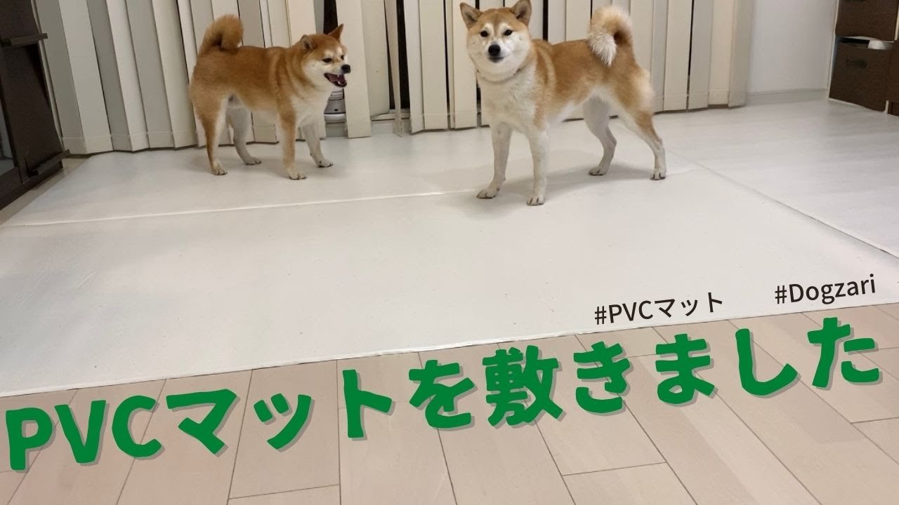 PVCマット Dogzariを敷きました