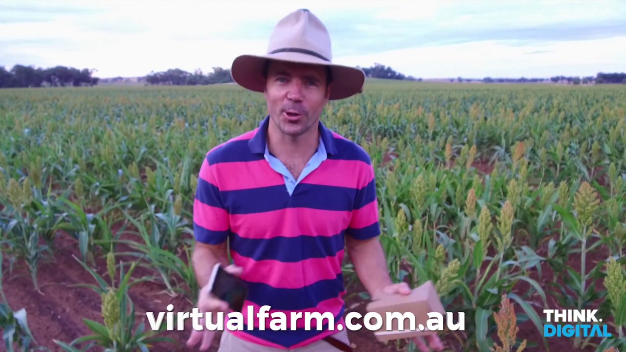 Virtual Farm - Virtual Reality Agricultural Experience