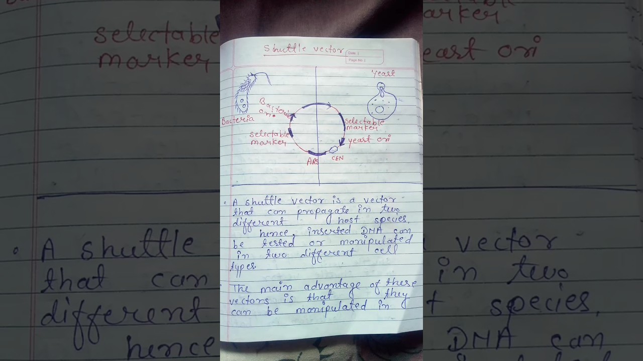 Shuttle vector with diagram #viral #study #msc
