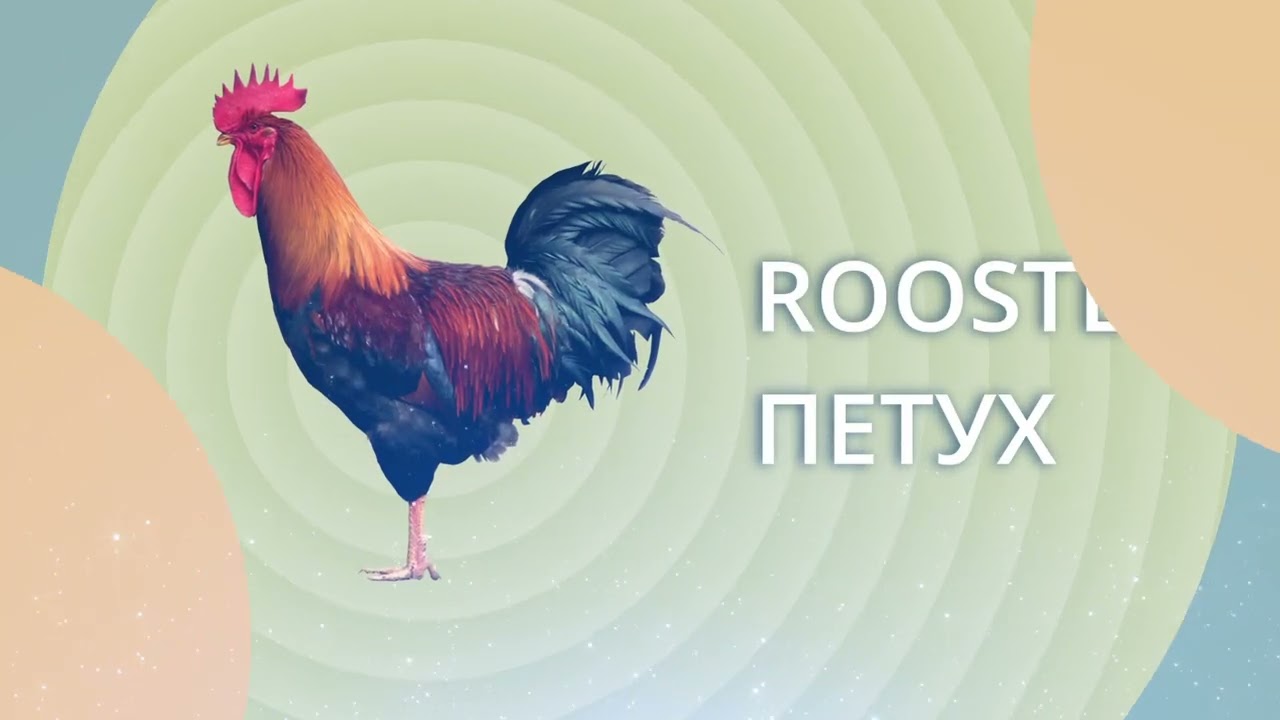 ДОМАШНИЕ ЖИВОТНЫЕ