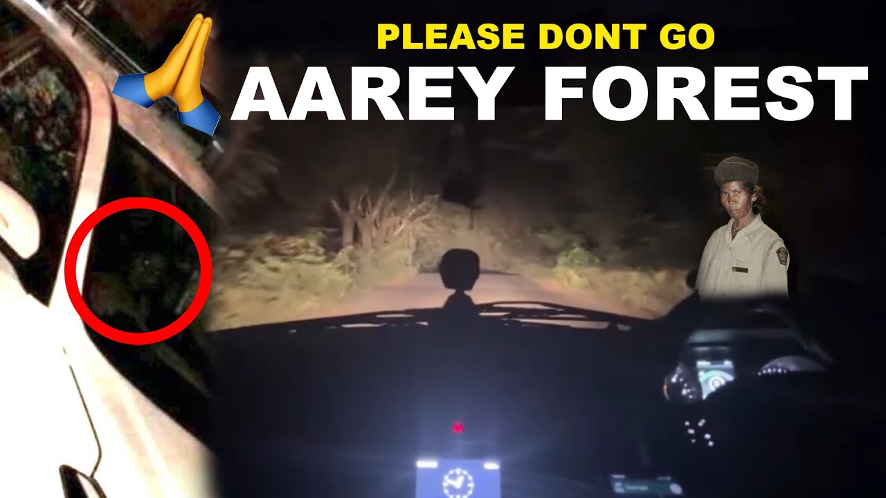 NEVER Visit Aarey Milk Colony 👻 Most Haunted Place In MUMBAI - Aarey Forest 🌲