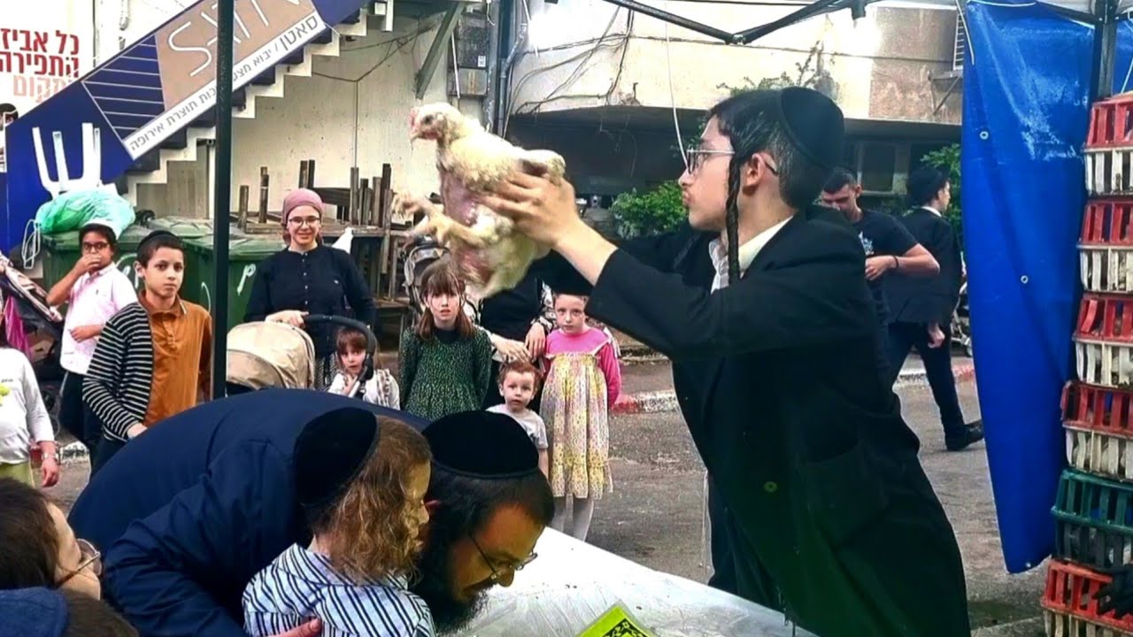 Dlaczego Chasydzi kreca kura nad glowa?  Kontrowersyjny i krwawy obrzed Kaparot. @sekretyizraela